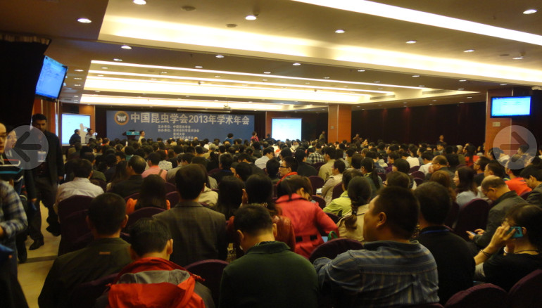 2013年昆蟲學會學術會議